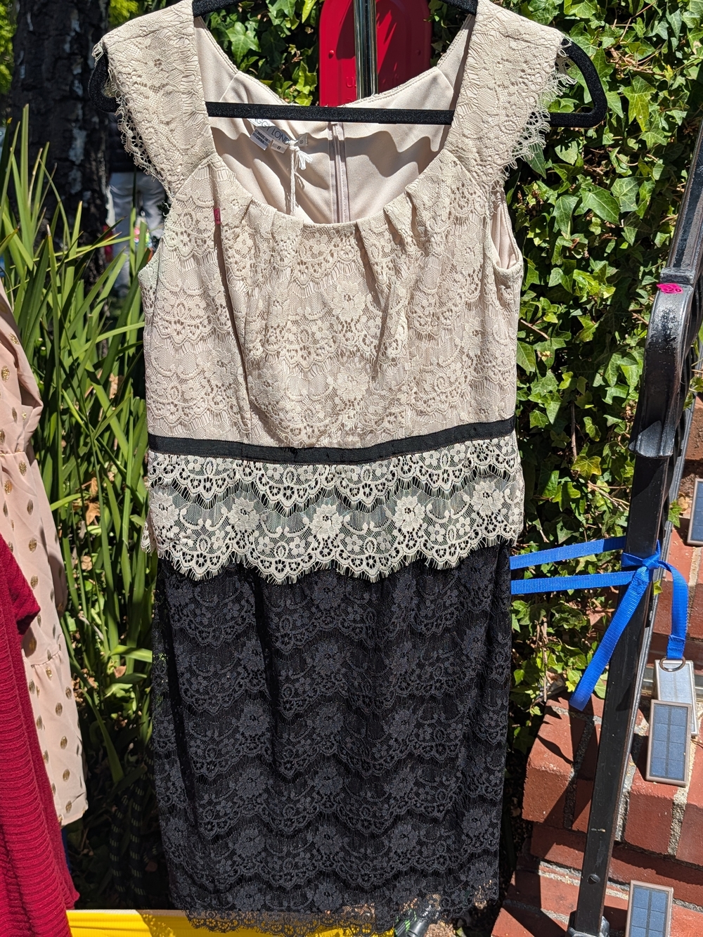 Maggy London Beige and Black Lace Overlay Sheath Dress